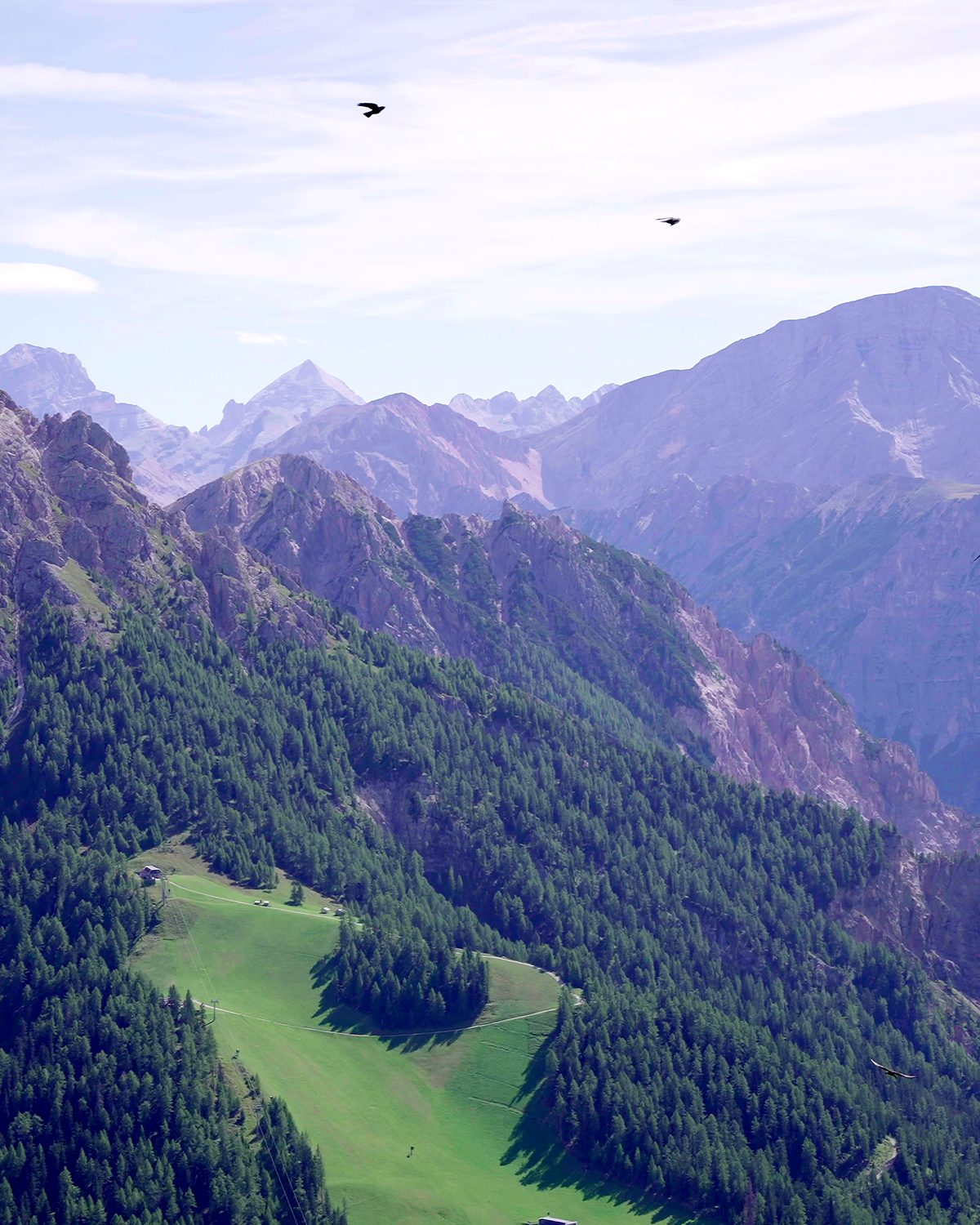 Ein bewaldeter Bergkamm staffelt sich in die Ferne, im Himmel kreisen Vögel.