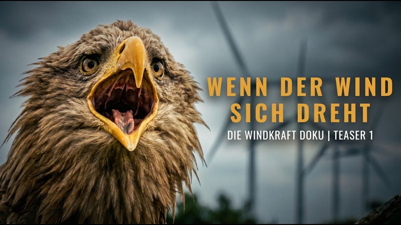 Ein Adler vor Bergen, das Titelbild des Films Wenn der Wind sich dreht.