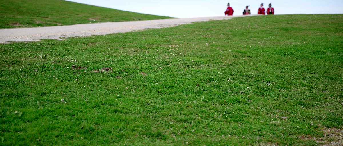 Vier kleine rote Gestalten stehen auf der Kuppe einer leeren Gipfelwiese.
